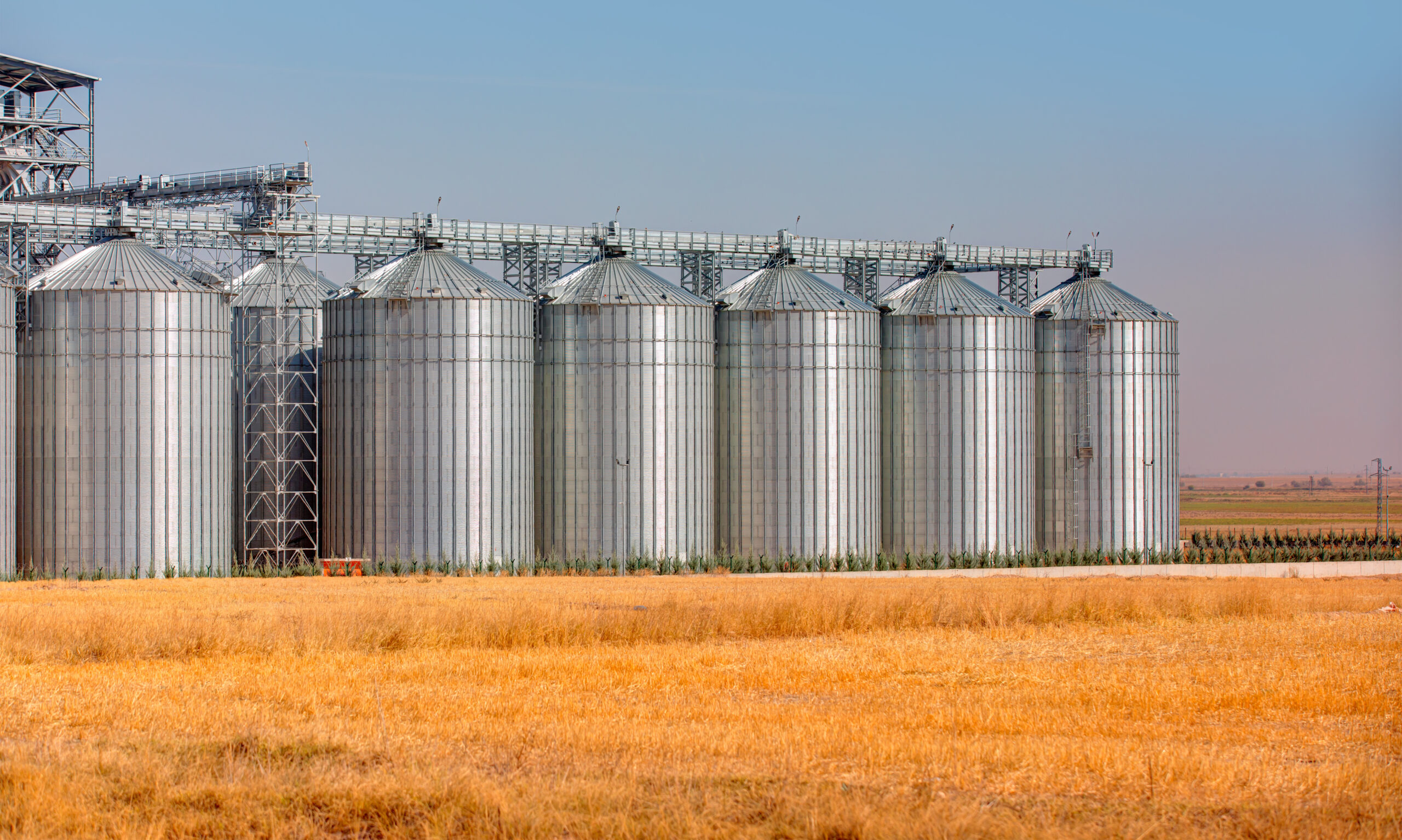 Why choosing the right silo is key in agriculture - Bentall Rowlands